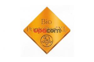 Благородный сплав Bio PontoStar XL